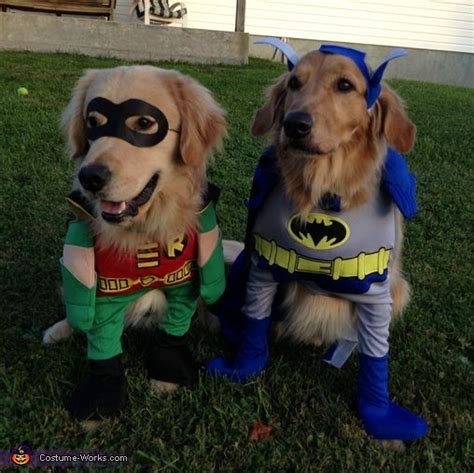 dog halloween costumes robin|batman and robin dog costumes.